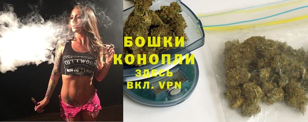 spice Алзамай