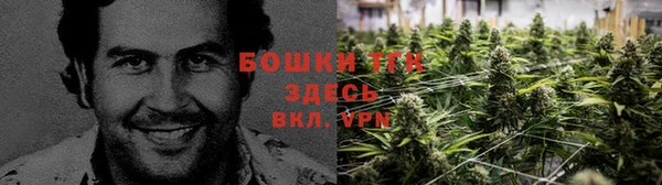 spice Алзамай